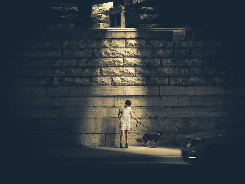 小王子<br>mcbhuqd.cn 玫瑰与狐狸